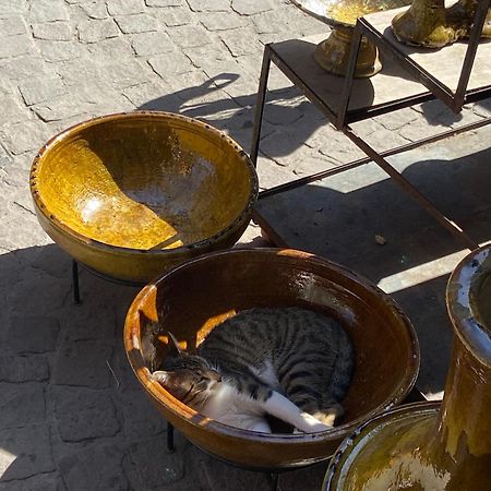 Villa Louisa Piscine Privee Sans Vis A Vis Dyar Shemsi Taroudant Esterno foto