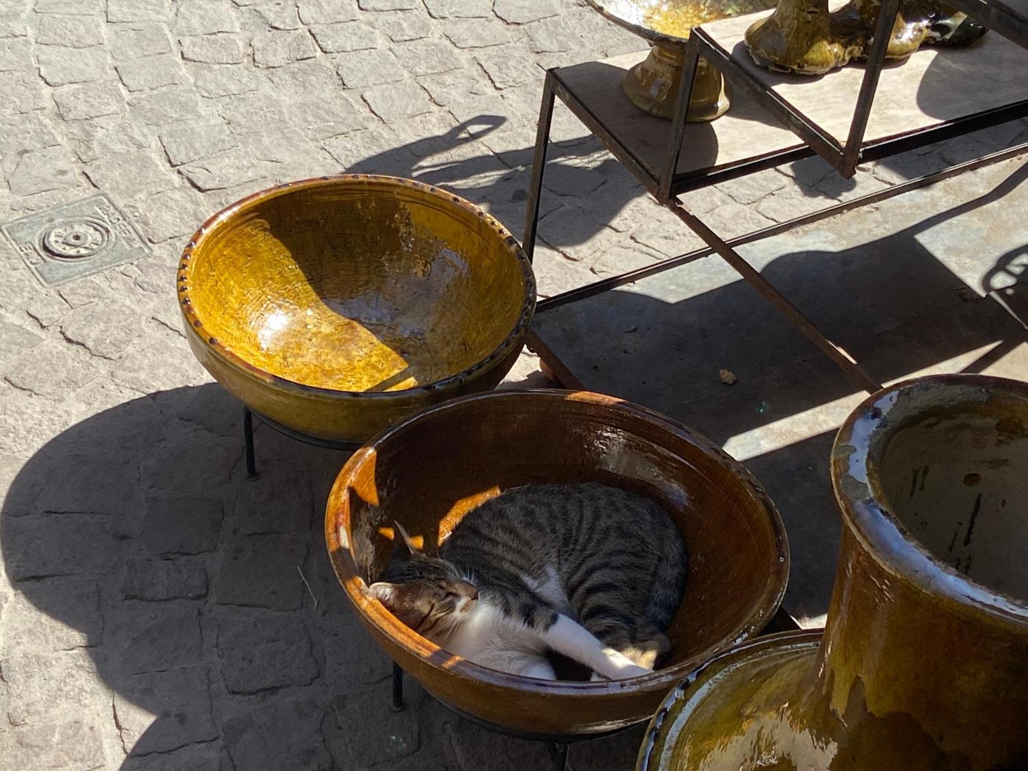 Villa Louisa Piscine Privee Sans Vis A Vis Dyar Shemsi Taroudant Esterno foto